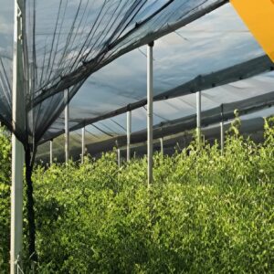 Tela de Sombreamento